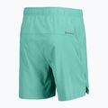 Men's running shorts SCOTT Endurance LT miami green 2