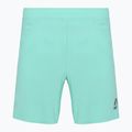 Men's running shorts SCOTT Endurance LT miami green