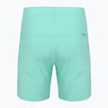 Men's running shorts SCOTT Endurance LT miami green 2