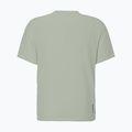 Men's running shirt SCOTT Endurance LT spray grey 2