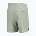 Men's running shorts SCOTT Endurance LT spray grey 2