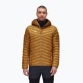 Men's down jacket Mammut Albula IN gold 1013-01781