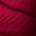 Mammut women's trekking jacket Taiss Light ML blood red/marine 10