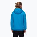 Men's sweatshirt Mammut ML Hoody Logo glacier blue 2