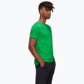 Mammut Core Garantie men's t-shirt pinea 3