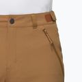Mammut Runbold IV claystone men's trekking shorts 4