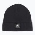 Winter hat Mammut Fedoz black