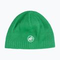Winter hat Mammut Sublime pine green