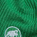 Winter hat Mammut Sublime pine green 2
