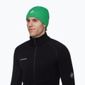 Winter hat Mammut Sublime pine green 3