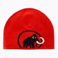 Winter hat Mammut Logo black 4