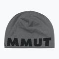 Winter hat Mammut Logo steel/black 2