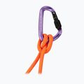 Carbiner Mammut Classic HMS Screwgate screw gate/alpine calamint 2