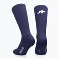 ASSOS Racing S11 future dusk socks 2