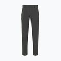 Men's trekking trousers Mammut Runbold IV Pants Men gabbro