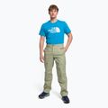 Men's climbing trousers The North Face Routeset beige NF0A5J7Y3X31 2