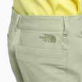Men's climbing shorts The North Face Project beige NF0A5J8M3X31 6
