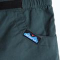 KAVU women's shorts Chilli Chic green gables 3