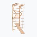 RINAGYM Kinder 3 gymnastic ladder