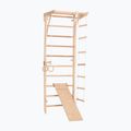 RINAGYM Kinder 3 gymnastic ladder 4