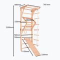 RINAGYM Kinder 3 gymnastic ladder 10