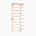 RINAGYM Kinder 2 gymnastic ladder 2