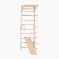 RINAGYM Kombi 3 gymnastic ladder