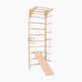 RINAGYM Kombi 3 gymnastic ladder 2
