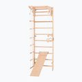 RINAGYM Kombi 3 gymnastic ladder 3