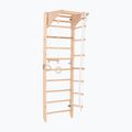 RINAGYM Kombi 3 gymnastic ladder 4