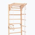 RINAGYM Kombi 3 gymnastic ladder 6