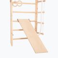 RINAGYM Kombi 3 gymnastic ladder 13