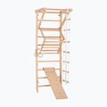 RINAGYM Sport 3 gymnastic ladder