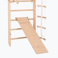 RINAGYM Sport 3 gymnastic ladder 5