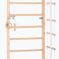 RINAGYM Sport 3 gymnastic ladder 7