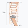 RINAGYM Sport 3 gymnastic ladder 9
