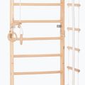 RINAGYM Sport 2 gymnastic ladder 4