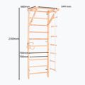 RINAGYM Sport 2 gymnastic ladder 6