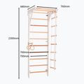 RINAGYM gymnastics ladder Kinder 2 white 5