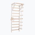 RINAGYM Sport 2 white gymnastic ladder