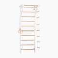 RINAGYM Sport 2 white gymnastic ladder 2