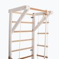 RINAGYM Sport 2 white gymnastic ladder 4