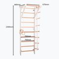 RINAGYM Sport 2 white gymnastic ladder 6