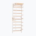 RINAGYM Kombi 2 gymnastic ladder white 2