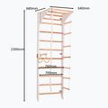 RINAGYM Kombi 2 gymnastic ladder white 5