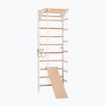RINAGYM Gymnastic ladder Combi 3 white