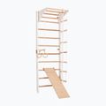 RINAGYM Gymnastic ladder Combi 3 white 2