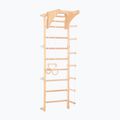RINAGYM Eco-Pine gymnastic ladder 2