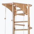 RINAGYM Eco-Pine gymnastic ladder 3