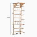 RINAGYM Eco-Pine gymnastic ladder 6